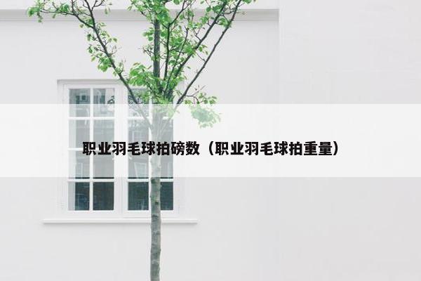 职业羽毛球拍磅数（职业羽毛球拍重量）