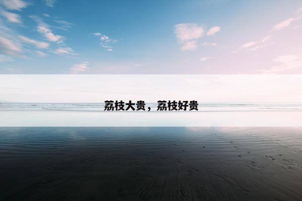 荔枝大贵，荔枝好贵