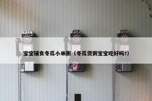 宝宝辅食冬瓜小米粥（冬瓜煲粥宝宝吃好吗?）