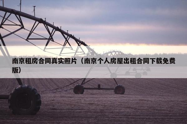 南京租房合同真实照片（南京个人房屋出租合同下载免费版）