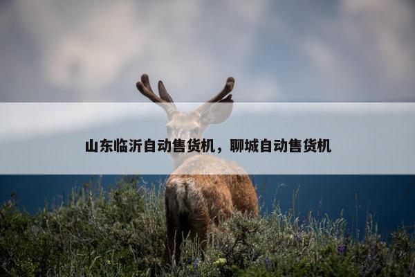 山东临沂自动售货机，聊城自动售货机