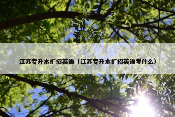 江苏专升本扩招英语（江苏专升本扩招英语考什么）
