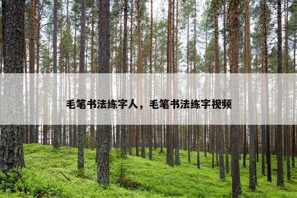 毛笔书法练字人，毛笔书法练字视频