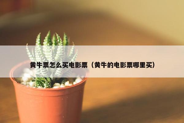 黄牛票怎么买电影票（黄牛的电影票哪里买）