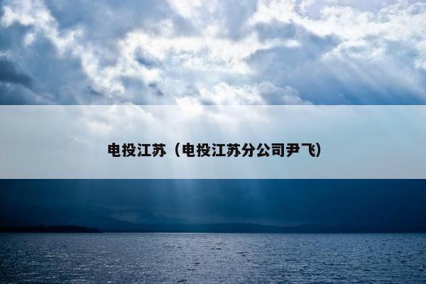 电投江苏（电投江苏分公司尹飞）
