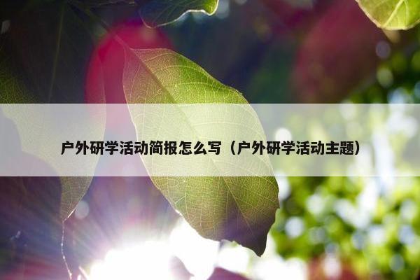 户外研学活动简报怎么写（户外研学活动主题）