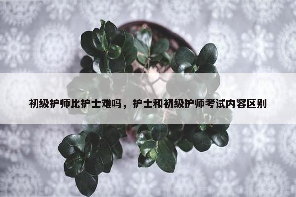 初级护师比护士难吗，护士和初级护师考试内容区别