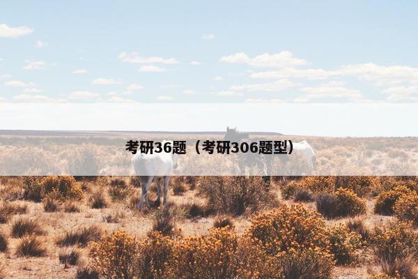 考研36题（考研306题型）