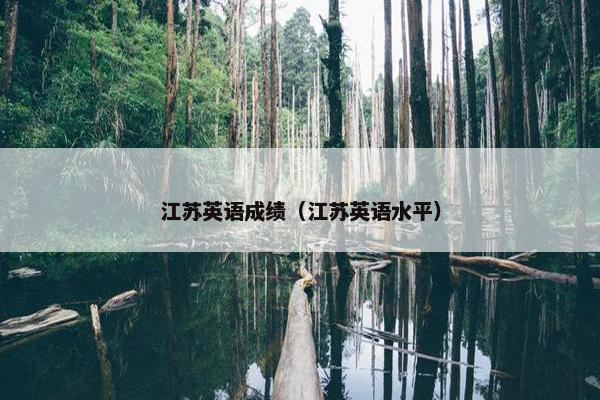 江苏英语成绩（江苏英语水平）