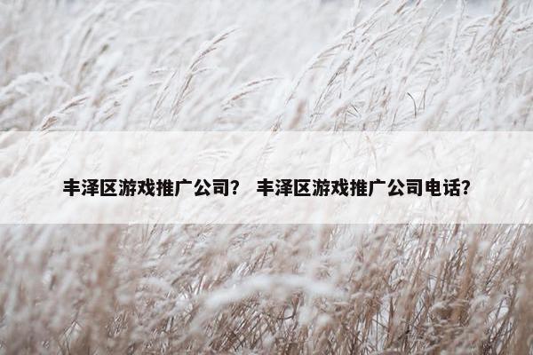 丰泽区游戏推广公司？ 丰泽区游戏推广公司电话？