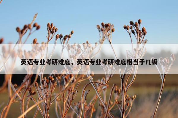 英语专业考研难度，英语专业考研难度相当于几级