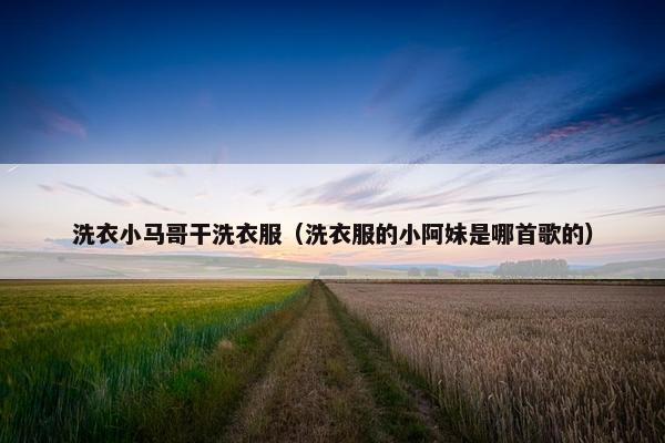 洗衣小马哥干洗衣服（洗衣服的小阿妹是哪首歌的）