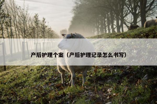 产后护理个案（产后护理记录怎么书写）