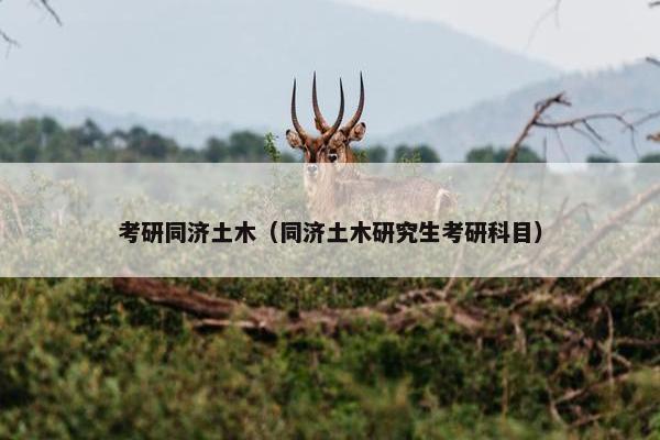 考研同济土木（同济土木研究生考研科目）