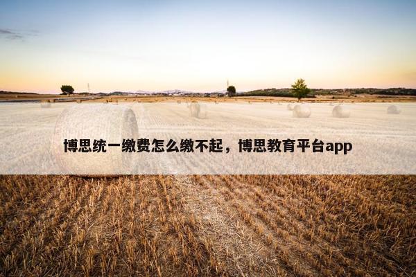 博思统一缴费怎么缴不起，博思教育平台app