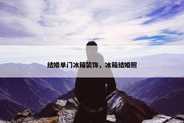 结婚单门冰箱装饰，冰箱结婚照