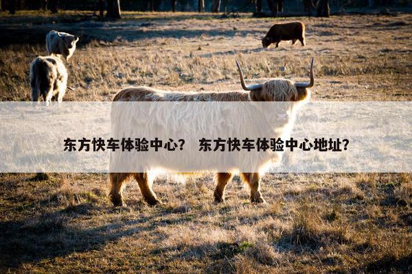 东方快车体验中心？ 东方快车体验中心地址？
