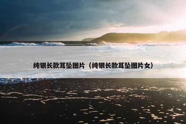 纯银长款耳坠图片（纯银长款耳坠图片女）