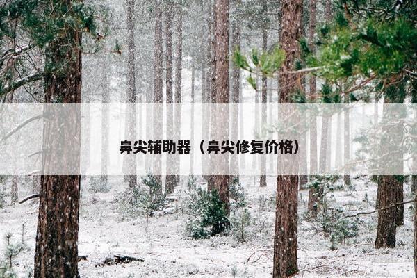 鼻尖辅助器（鼻尖修复价格）