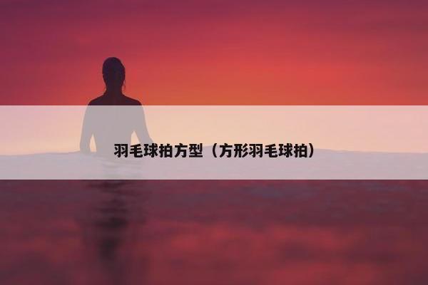 羽毛球拍方型（方形羽毛球拍）