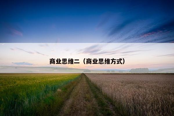 商业思维二（商业思维方式）