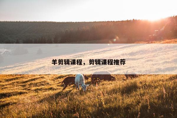 羊剪辑课程，剪辑课程推荐