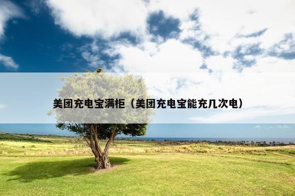 美团充电宝满柜（美团充电宝能充几次电）