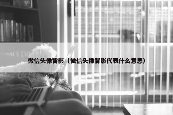 微信头像背影（微信头像背影代表什么意思）