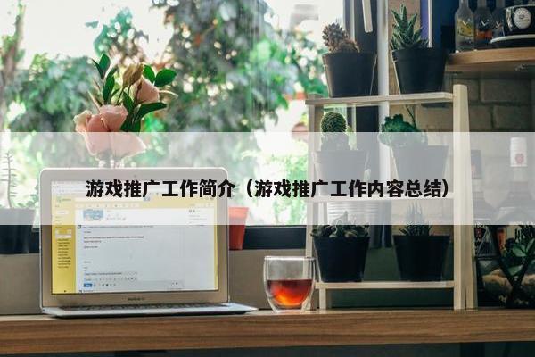 游戏推广工作简介（游戏推广工作内容总结）