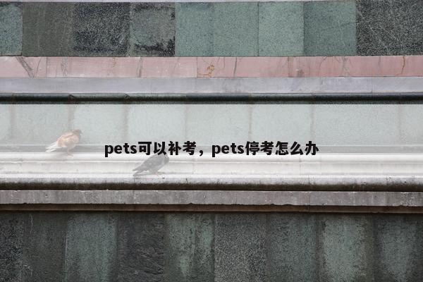 pets可以补考，pets停考怎么办