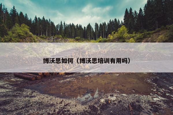 博沃思如何（博沃思培训有用吗）