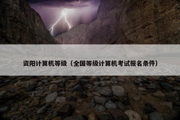 资阳计算机等级（全国等级计算机考试报名条件）