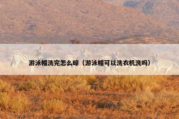 游泳帽洗完怎么晾（游泳帽可以洗衣机洗吗）