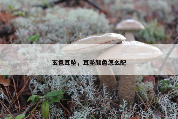 玄色耳坠，耳坠颜色怎么配