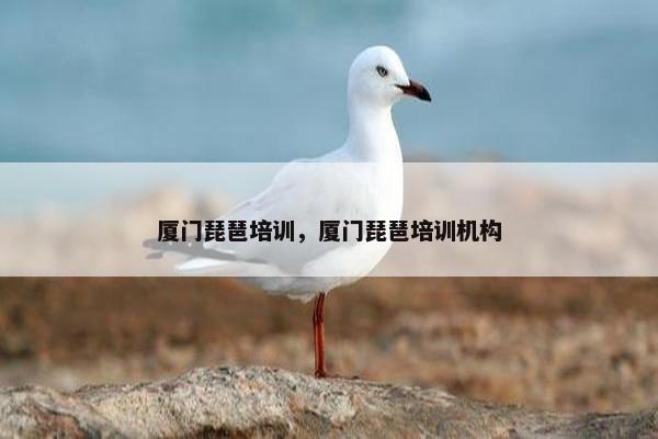 厦门琵琶培训，厦门琵琶培训机构