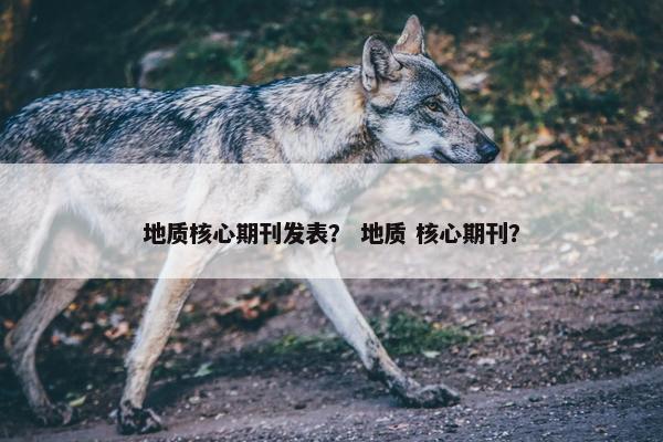 地质核心期刊发表？ 地质 核心期刊？