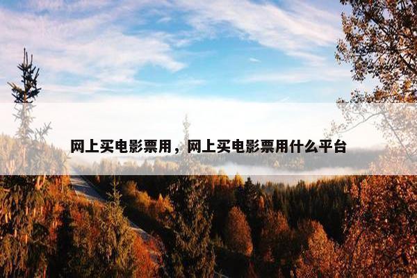 网上买电影票用，网上买电影票用什么平台