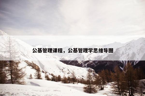 公基管理课程，公基管理学思维导图