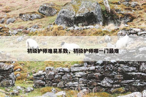 初级护师难易系数，初级护师哪一门最难