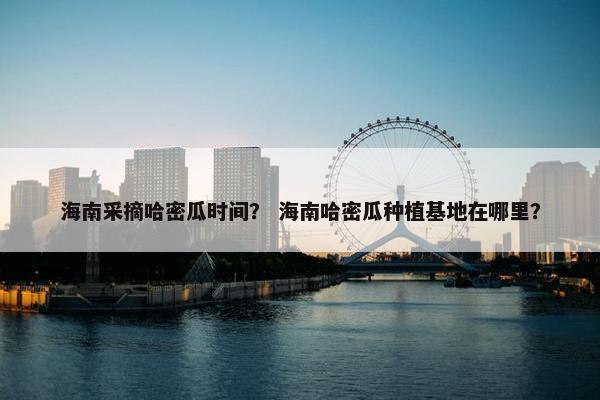 海南采摘哈密瓜时间？ 海南哈密瓜种植基地在哪里？