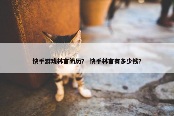 快手游戏林言简历？ 快手林言有多少钱？