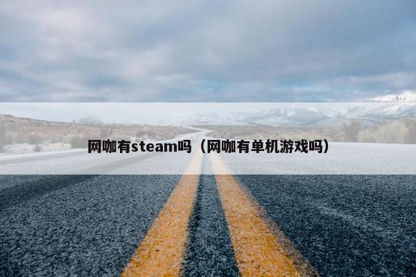 网咖有steam吗（网咖有单机游戏吗）