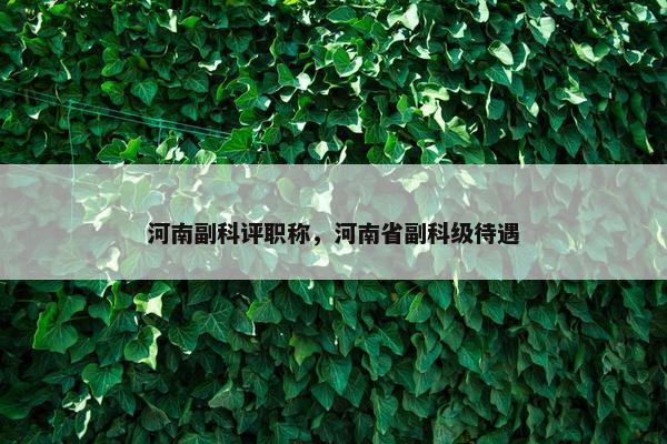 河南副科评职称，河南省副科级待遇