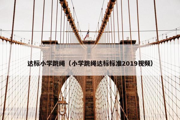 达标小学跳绳（小学跳绳达标标准2019视频）