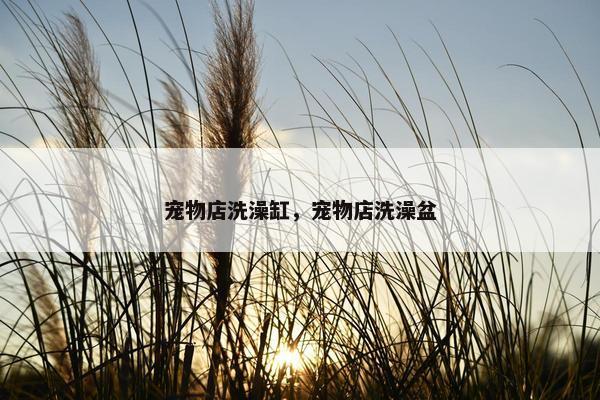 宠物店洗澡缸，宠物店洗澡盆