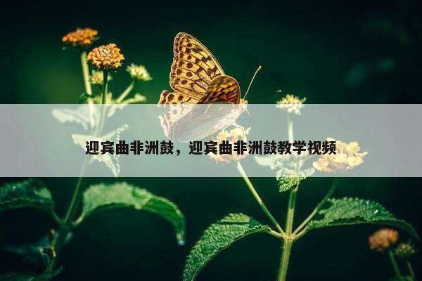 迎宾曲非洲鼓，迎宾曲非洲鼓教学视频