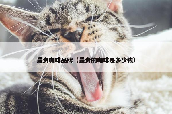 最贵咖啡品牌（最贵的咖啡是多少钱）