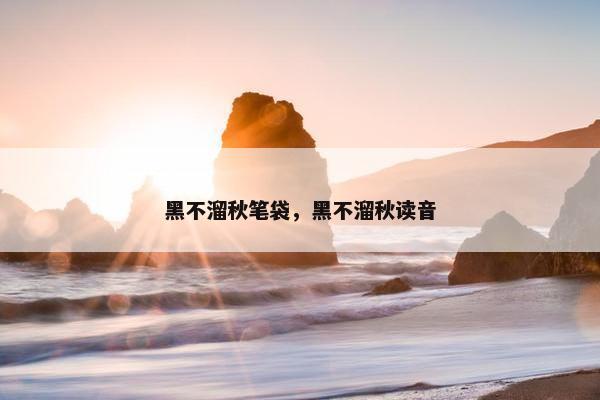 黑不溜秋笔袋，黑不溜秋读音