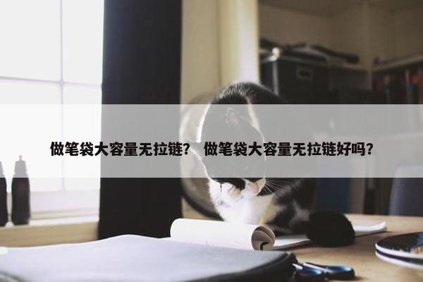 做笔袋大容量无拉链？ 做笔袋大容量无拉链好吗？