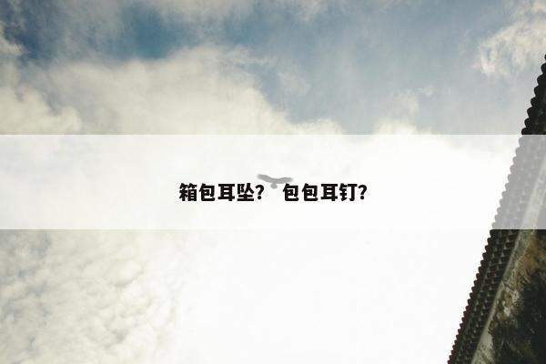 箱包耳坠？ 包包耳钉？
